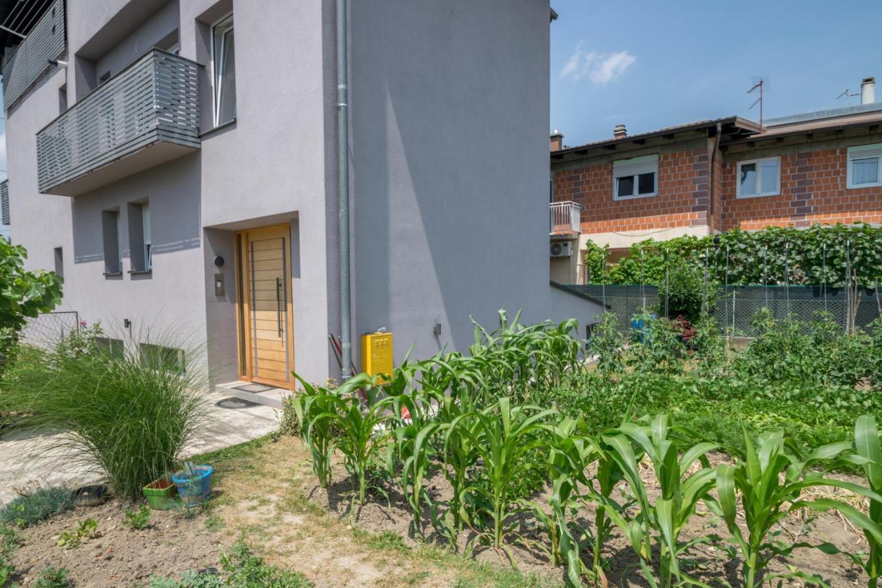 Pomodoro Rooms Zagreb Eksteriør bilde
