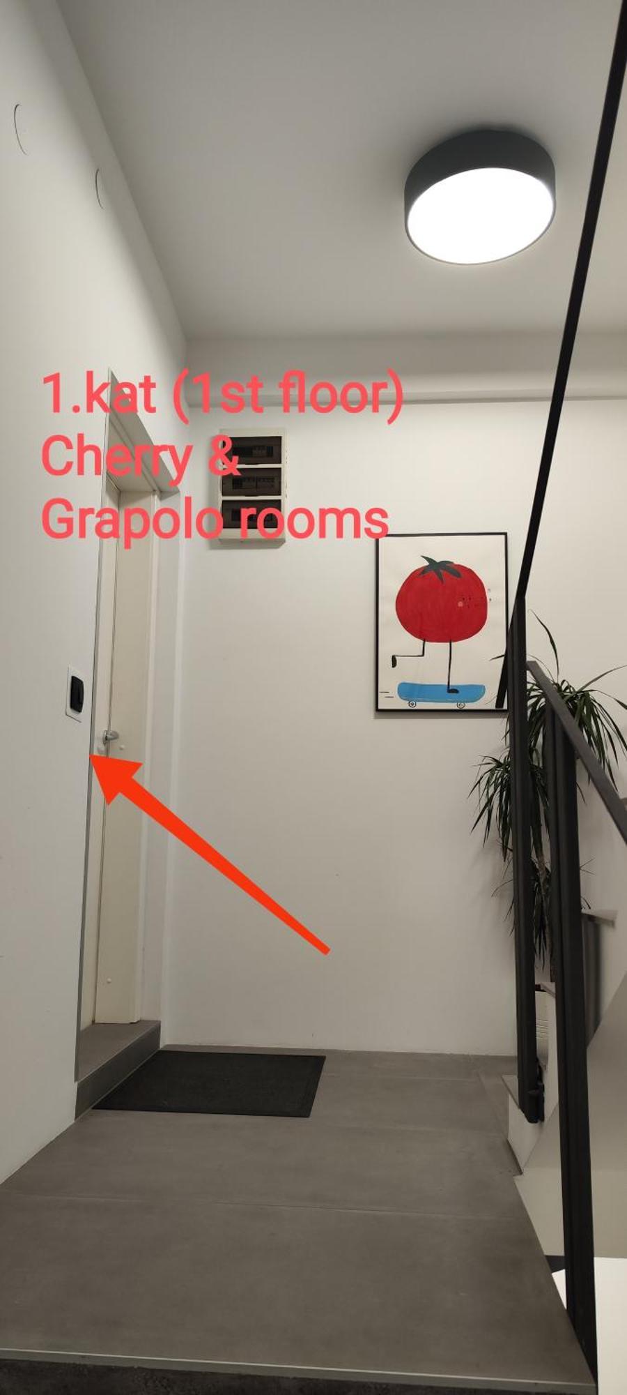 Pomodoro Rooms Zagreb Eksteriør bilde